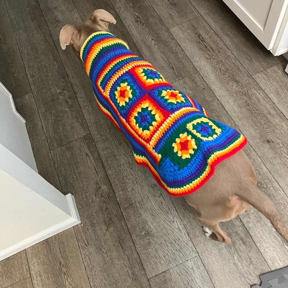New Handmade Rainbow Colors Crochet Dog Sweater Size Large Made in the USA